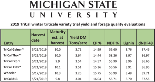 Triticale trial data from Michigan State University.